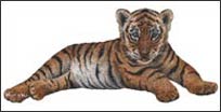 WTW390 Tiger Cub Wall Decal