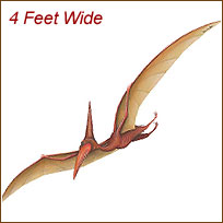 WTW595 Ptreodactyl Wall Decal