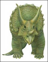 WTW610 Triceratops Wall Decal (Small)