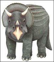 WTW630 Triceratops Wall Decal (Large)