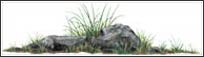 WTW755 Rock & Grass Wall Decal