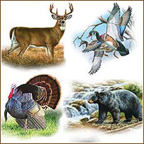 YK1071 Wildlife Medley Sticker Set