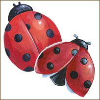 WA12168 Ladybugs Wallies WallPaper Cutouts