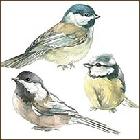 WA12240 Chickadees Wallies WallPaper Cutouts