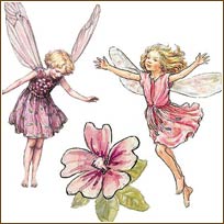 WA12511 Enchanted Flower Fairies Wallies WallPaper Cutouts