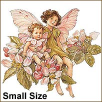 WA12955 Apple Blossom Flower Fairies Wallies WallPaper Cutouts