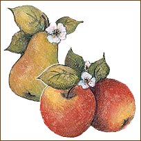 WA12974 Fruit Wallies WallPaper Cutouts