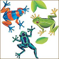 WA13425 Tree Frogs Wallies WallPaper Mural